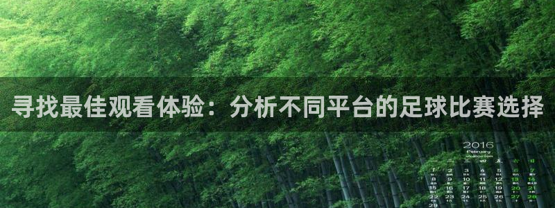 寻找最佳观看体验：分析不同平台的足球比赛选择