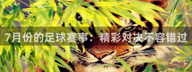 7月份的足球赛事：精彩对决不容错过