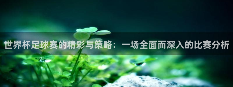 世界杯足球赛的精彩与策略：一场全面而深入的比赛分析