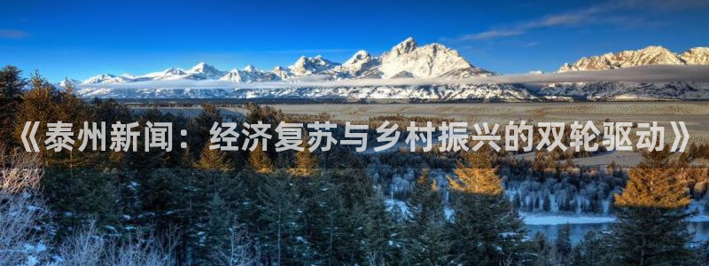 《泰州新闻：经济复苏与乡村振兴的双轮驱动》