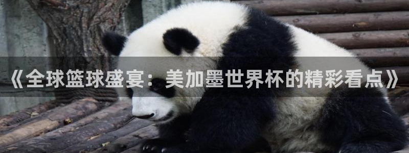 《全球篮球盛宴：美加墨世界杯的精彩看点》