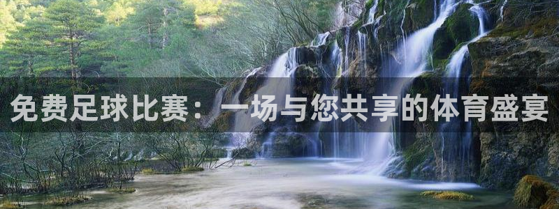 免费足球比赛：一场与您共享的体育盛宴