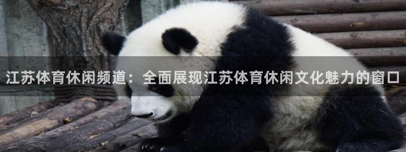 江苏体育休闲频道：全面展现江苏体育休闲文化魅力的窗口
