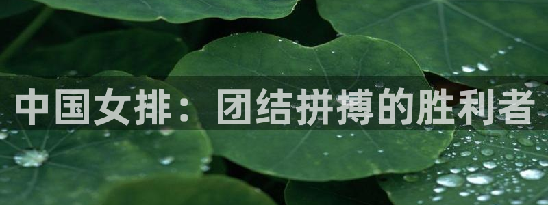 中国女排：团结拼搏的胜利者
