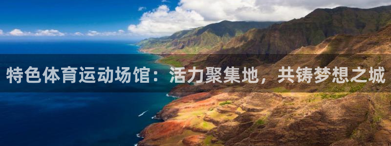 特色体育运动场馆：活力聚集地，共铸梦想之城