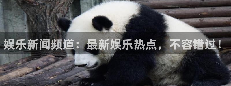 娱乐新闻频道：最新娱乐热点，不容错过！