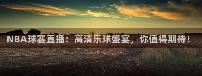 NBA球赛直播：高清乐球盛宴，你值得期待！