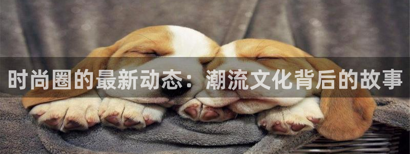 时尚圈的最新动态：潮流文化背后的故事